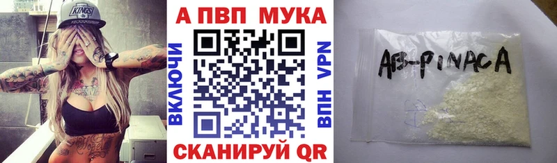 Купить  Суворов  A PVP крисы CK 