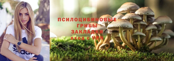 a pvp Нязепетровск