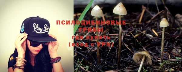 альфа пвп Нягань