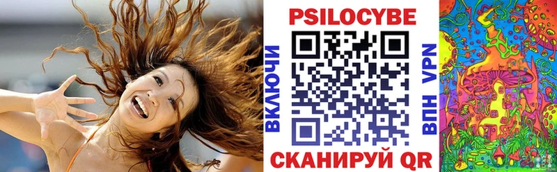 Псилоцибиновые грибы прущие грибы  Купить  Суворов 